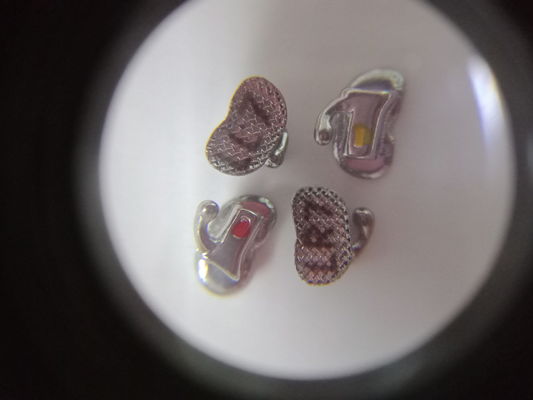 Manuelle Stromversorgung Orthodontikmaterialien Mundröhre für Zahnverbrauchsmaterialien